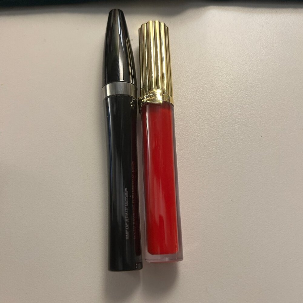Estee Lauder Lip Gloss Tender Troy and Mary Kay Black Mascara